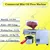 Commercial SS Mini Domestic Oil Press/Expeller Machine, 4-6 Kg/hr, 600W with Free Accessories